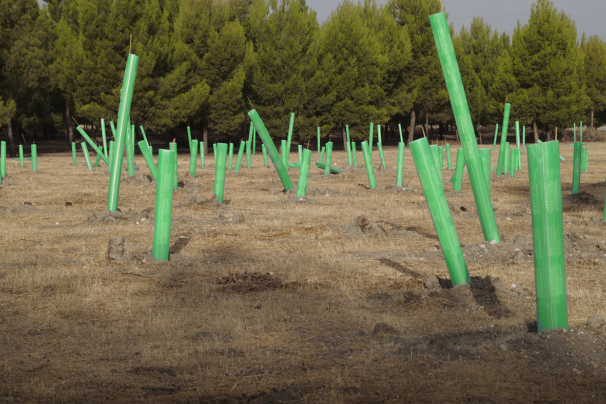 Madrid es hoy más verde y sostenible