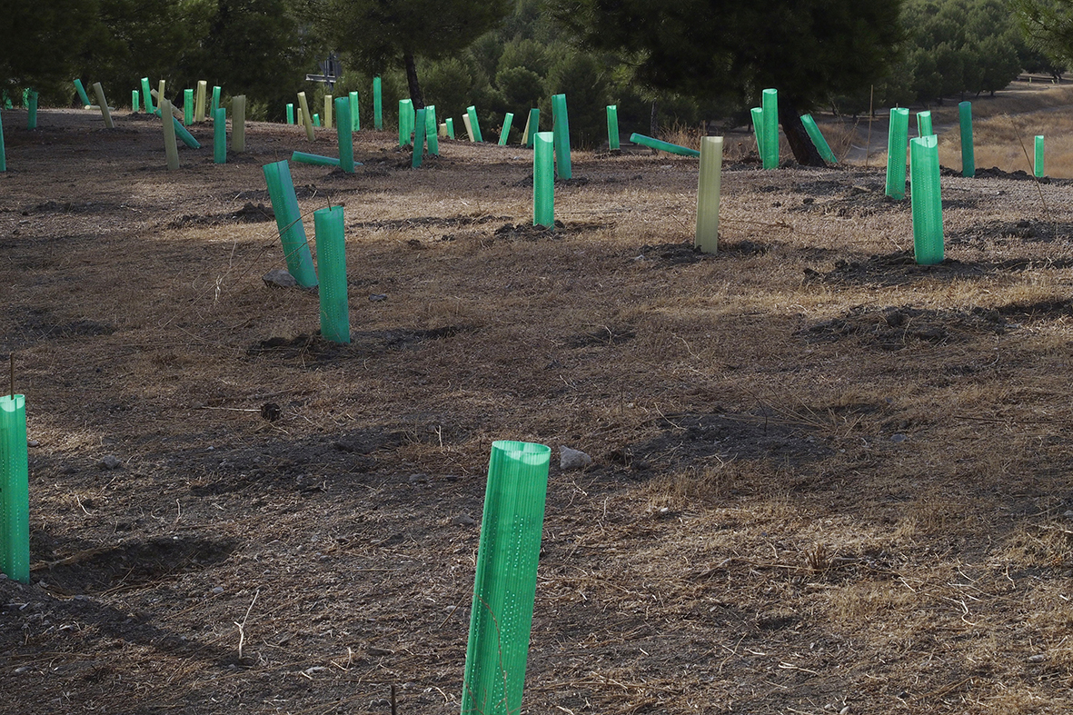 Madrid es hoy más verde y sostenible