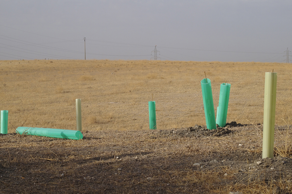 Madrid es hoy más verde y sostenible